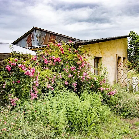 Apartment Loft Et A La Campagne *